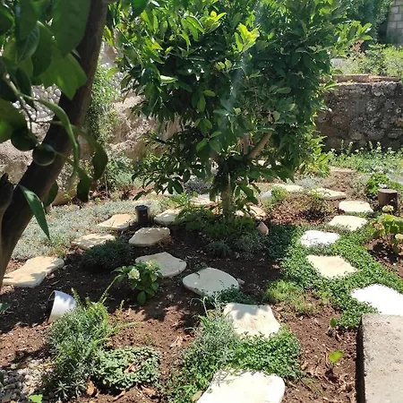 By The Sea Trpanj, Peljesac - 15995 * トゥルパニ